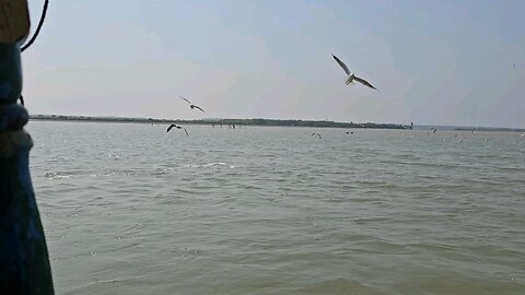 chilika jheel