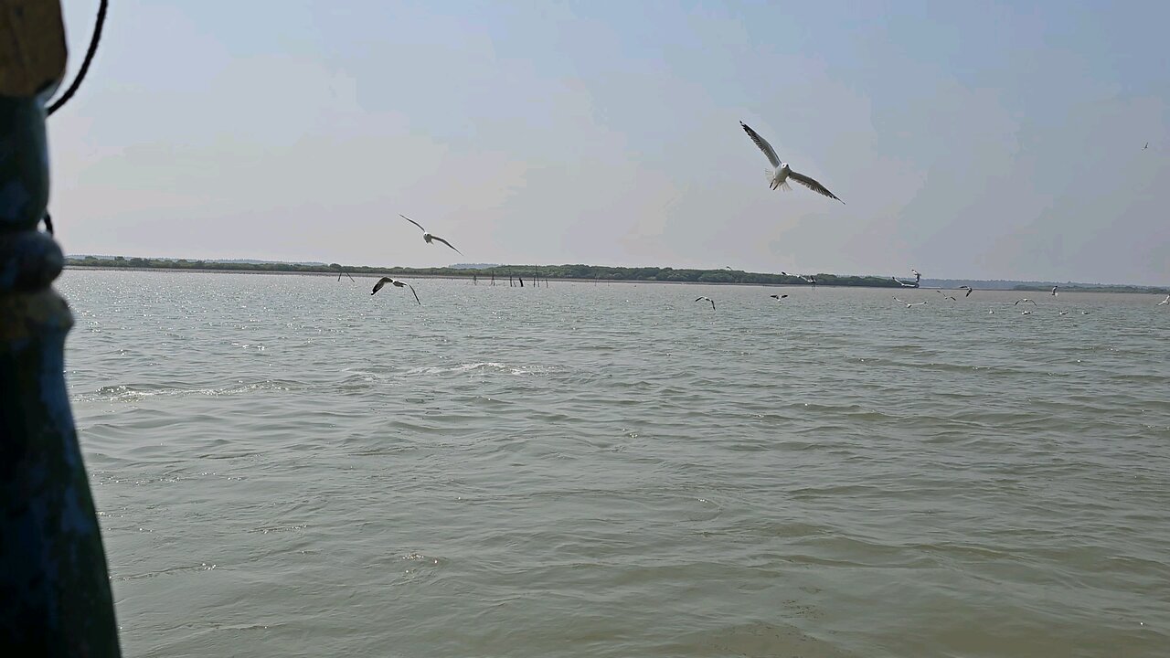 chilika jheel