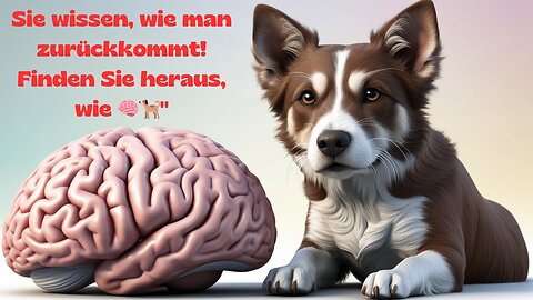 Die Wissenschaft erklärt, wie verlorene Hunde ihren Weg nach Hause finden.