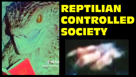 Reptilian Controlled Society