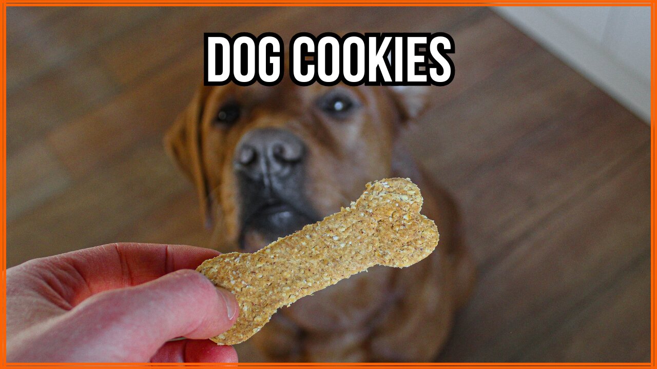 How To Make Homemade Dog Treats 🐶 Easy & Healthy DIY Dog Cookie Recipe!