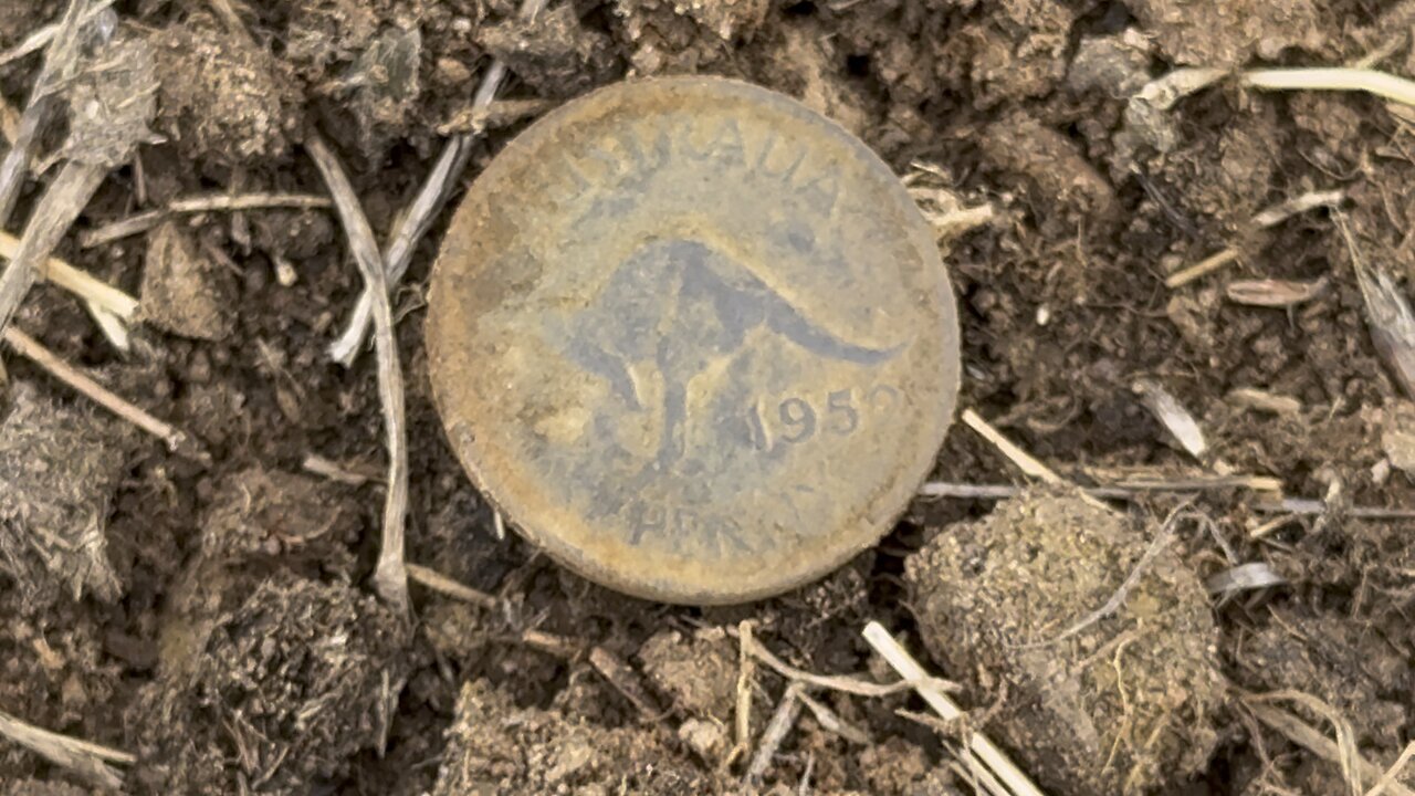 Internment Camps POW Metal Detecting Part9