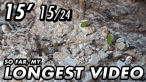 ASMR - 1st year of the channel! Finally, I can upload longer videos - 15' 15/24