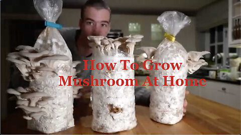 How To Grow Psilocybin Magic Mushroom At Home