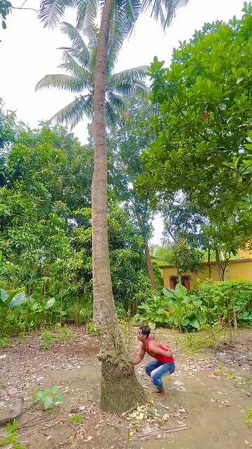 Amazing Villagers...