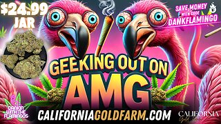 Geeking Out on AMG from California Gold Farm! Dankin with the Flamingos Review!!