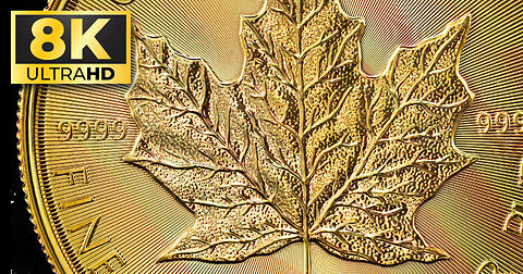 2025 Gold & Silver Maple Leaf Coins in MIND-BLOWING 8K DETAIL