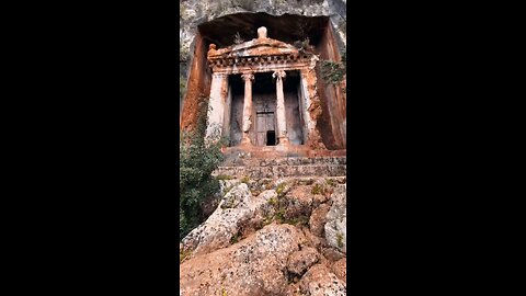 Ours amintas, Fethiye Provinces Mugla, Türkiye 🇹🇷