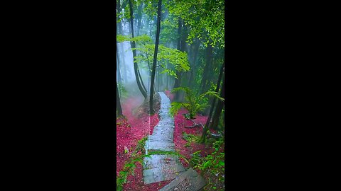 RELAXING HAIL SOUNDS🌧️