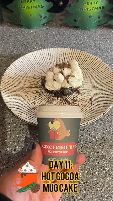 Elf Hot Cocoa Day 11: Hot Cocoa Mug Cake