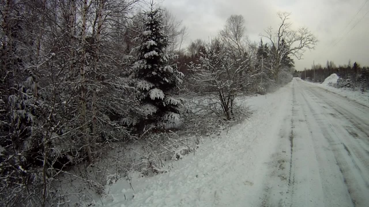 January 3rd, 21º wind from West as if feeling like 9º so only a short walk with Flynn,
