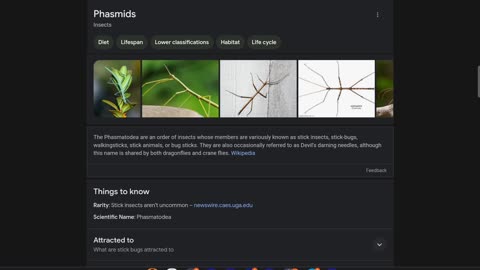 “Holy Shit, That's a Huge Ass Bug!” (October 2023)