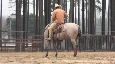 How To Teach a Horse to Rollback, Part 3 Preview