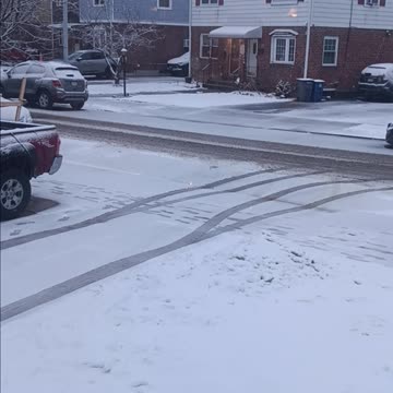Wet snow on the tree