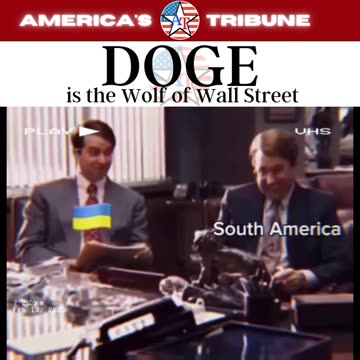 The DOGE of Wall Street