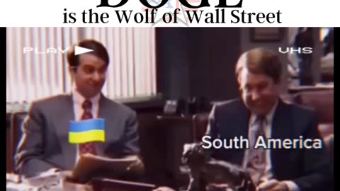 The DOGE of Wall Street