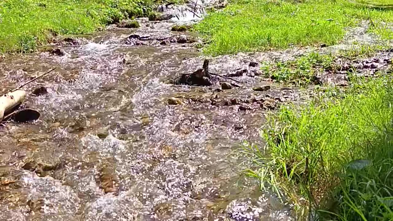 Mountain stream