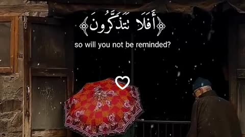 Jaza kallah ♥️✨