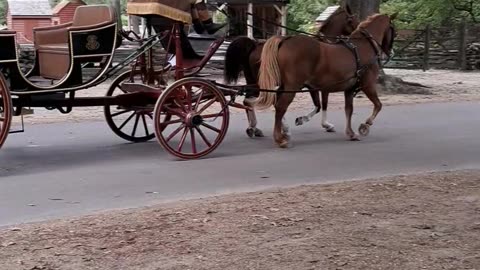 Horse drawn carriage.