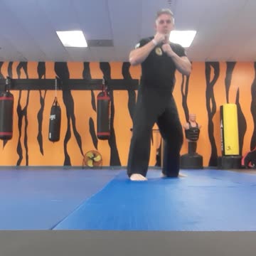 Tong Hap Kwan Hoshinsul Kicking Techniques