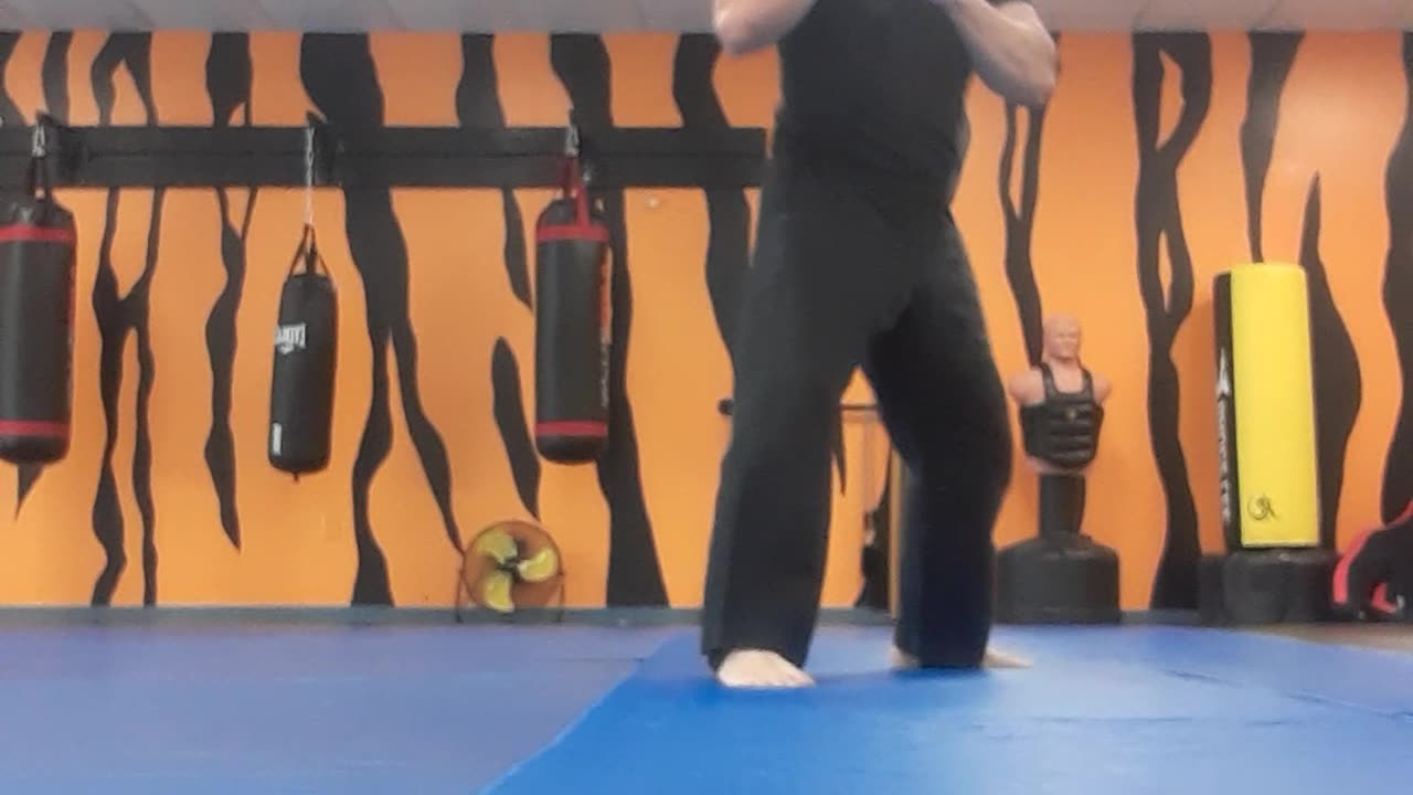 Tong Hap Kwan Hoshinsul Kicking Techniques