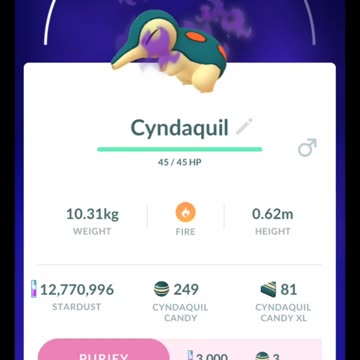 Pokémon GO-Purifying Shadow Cyndaquil