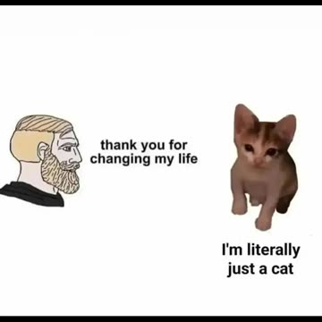 💗💗💗 #funny #memes #viral #reels #shorts #fyp #explore #discover