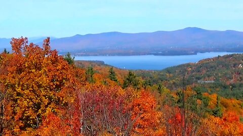 Fall Foliage