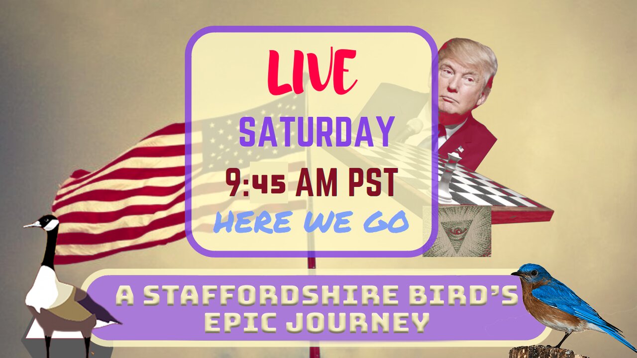 Saturday *LIVE* A Staffordshire Bird’s Epic Journey