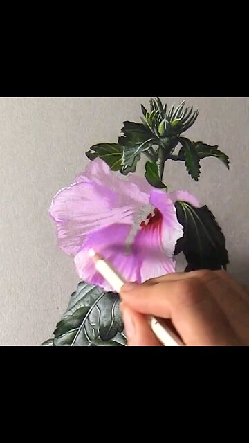 Drawing Realistic ✍️