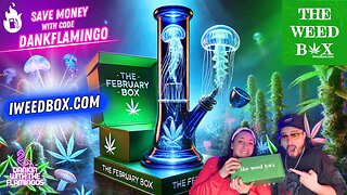 Unboxing the February Box from the Weed Box! Dankin with the Flamingos Review!!