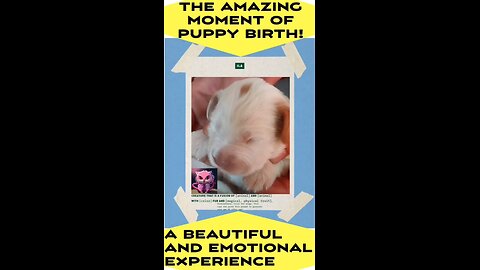 THE AMAZING MOMENT OF PUPPY BIRTH!"A BEAUTIFUL AND EMOTIONAL EXPERIENCE #shorts