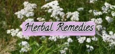 Herbal Remedies w/Trisha Jones