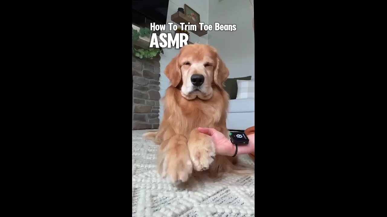 No one likes hairy beans..