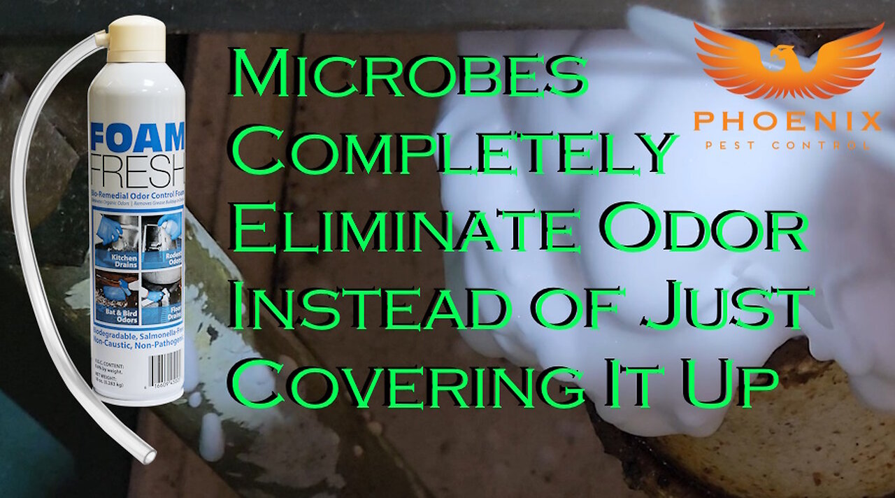 FoamFresh uses Microbes to Eliminate Odor Completely
