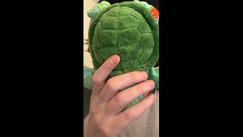 Misha the Turtle Talks Mass Anti-Free Speech Efforts Targeting X on Reddit