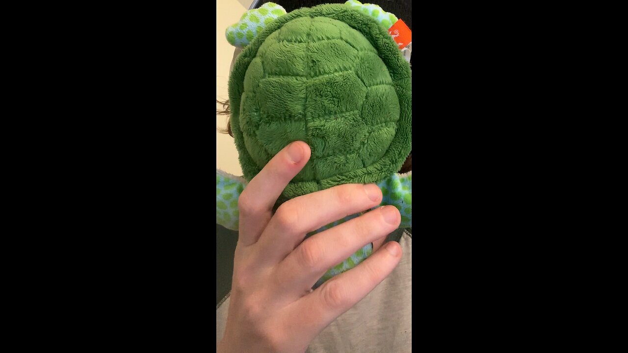 Misha the Turtle Talks Mass Anti-Free Speech Efforts Targeting X on Reddit