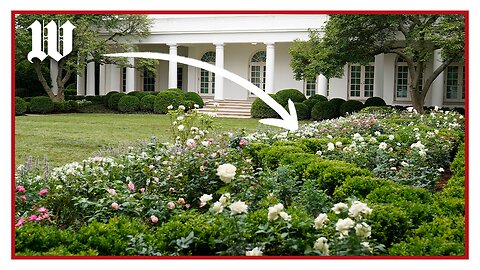 Trump eyes paving over Rose Garden as part of White House makeover