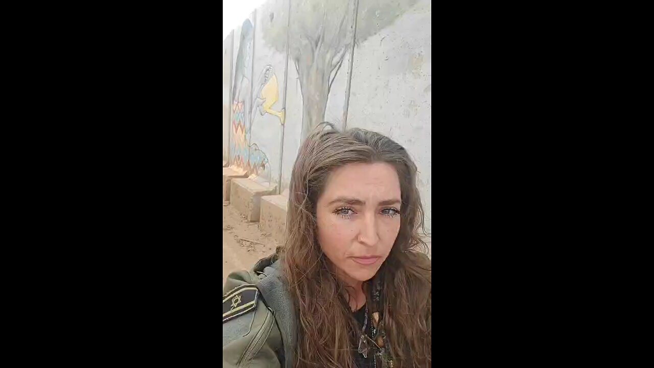 want to know about the idf, israeli defense force🪖