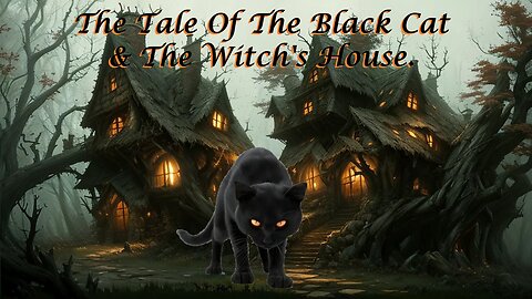 Black Cats and Bland Spells; A Tale of Two Salem Stops: The Black Cat & The Witch House.