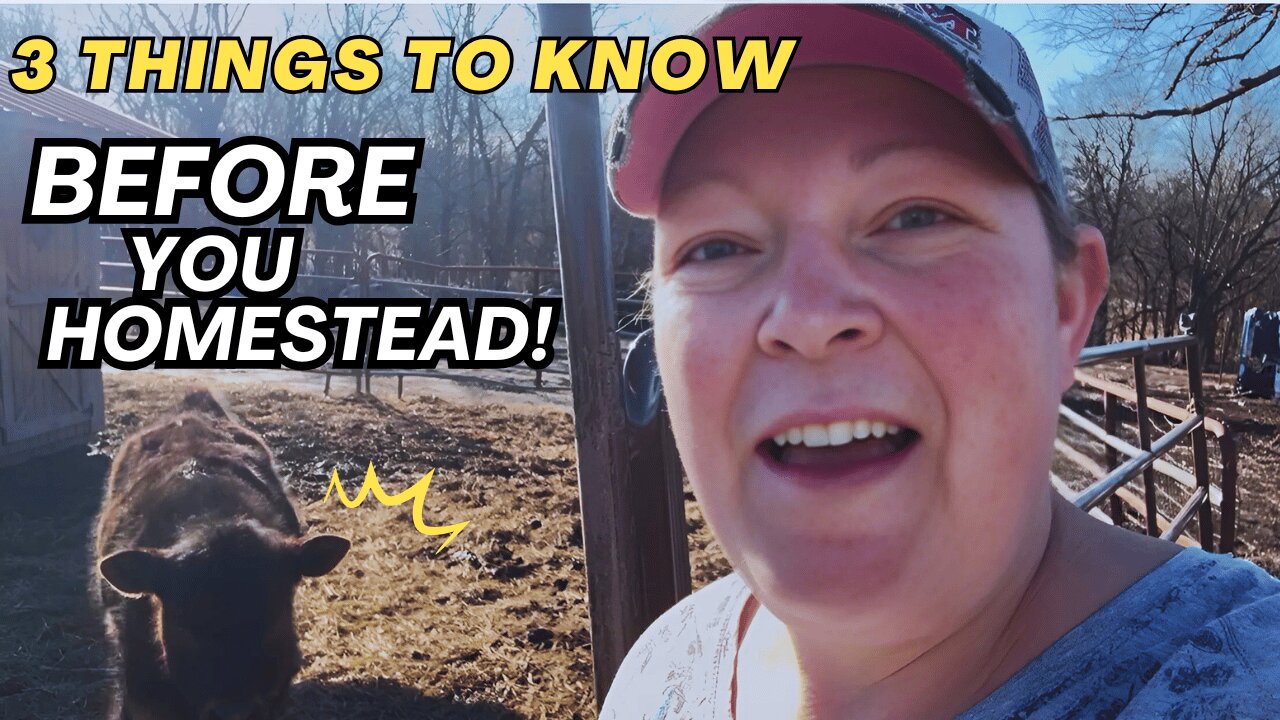 3 Things I Wish I Knew Before Starting My Homestead | Response to @Homesteadyshow