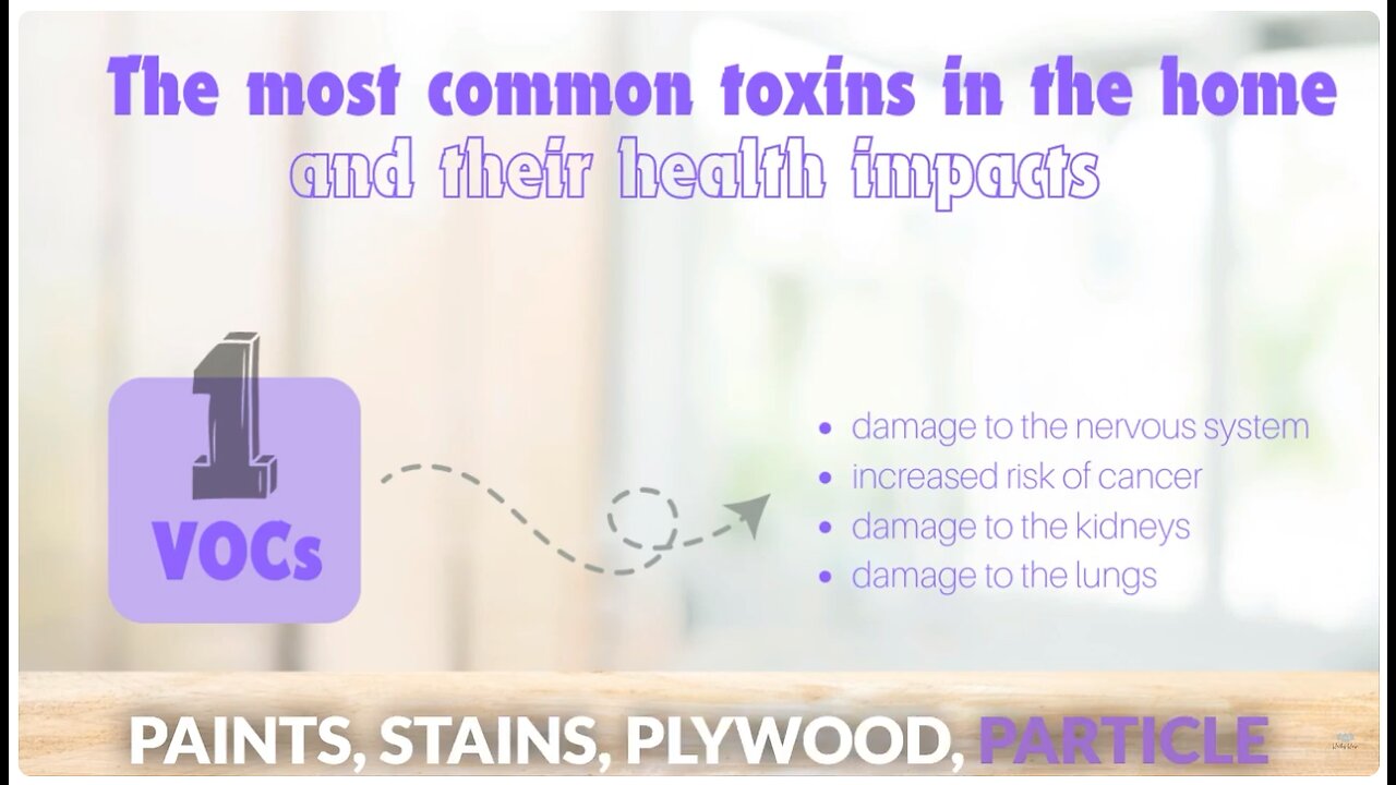 How to Identify Toxic Materials to Avoid Sick Building Syndrome