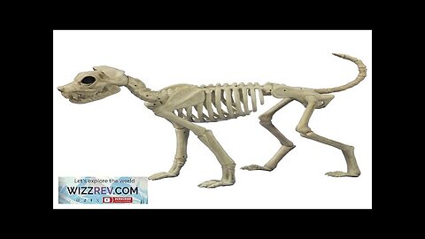 Buster Bonez Dog Skeleton Decoration Review