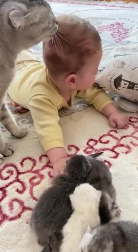 Mother’s work is never done