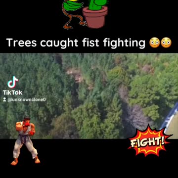 Trees caught fist fighing