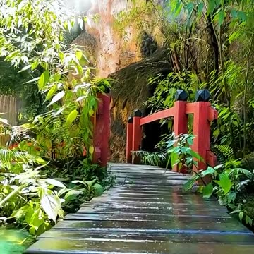 Wonderful Wonderland The Land of Angels 🤩😍