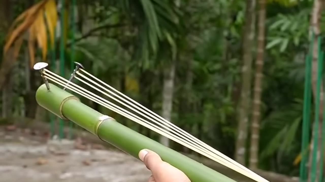 Bamboo slingshot making and use