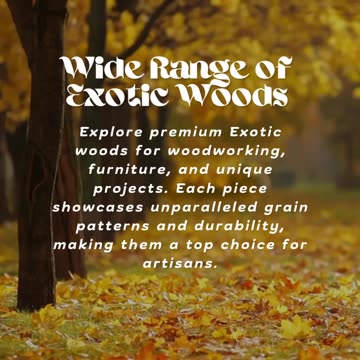 Discover the Best Woods at Exotic Wood Zone