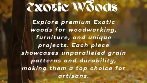 Discover the Best Woods at Exotic Wood Zone