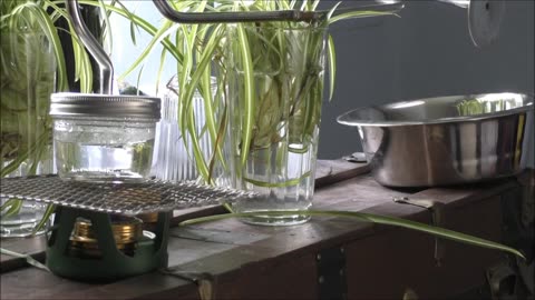 Dollar Store Distiller Boil